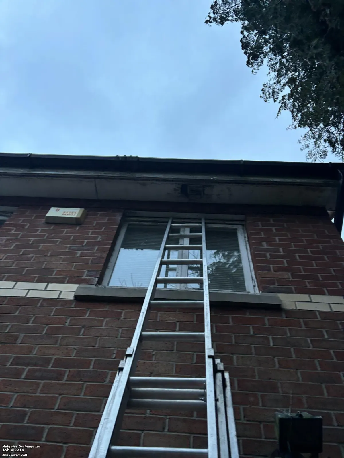 Professional ladder setup to access high-level roof vents for wasp nest removal in Blackburn