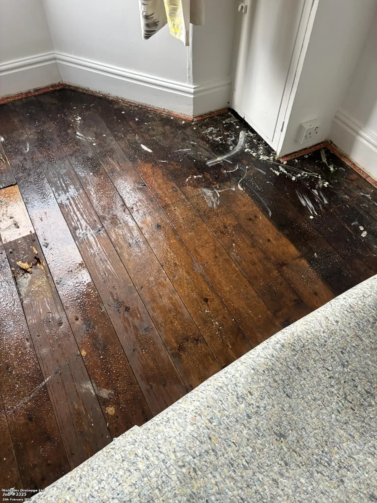 Professional decontamination and cleaning of a soiled wooden floor by Pest Medic