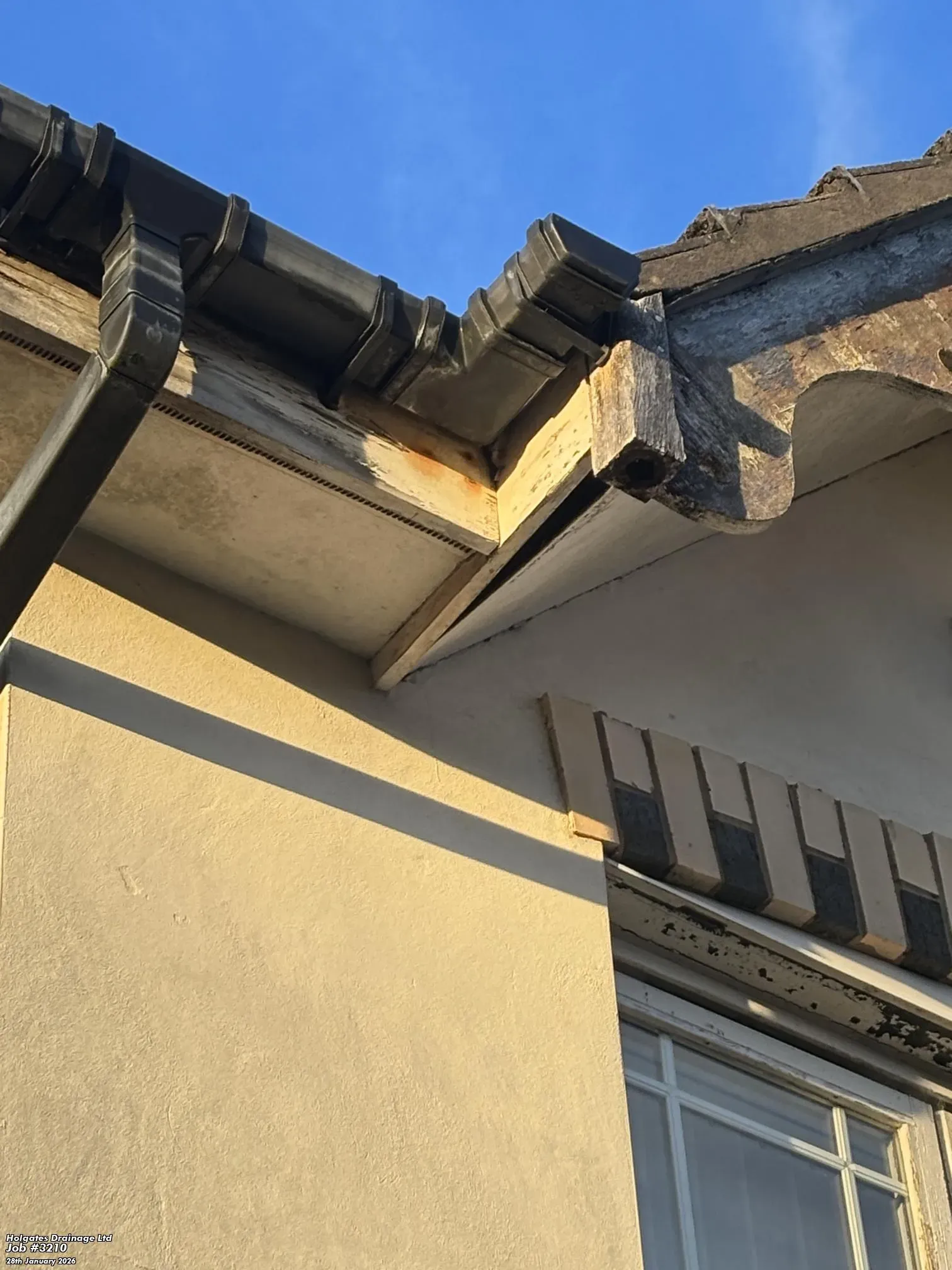 A potential pest entry point through a damaged wooden fascia board on a Lancashire property requiring rodent proofing.