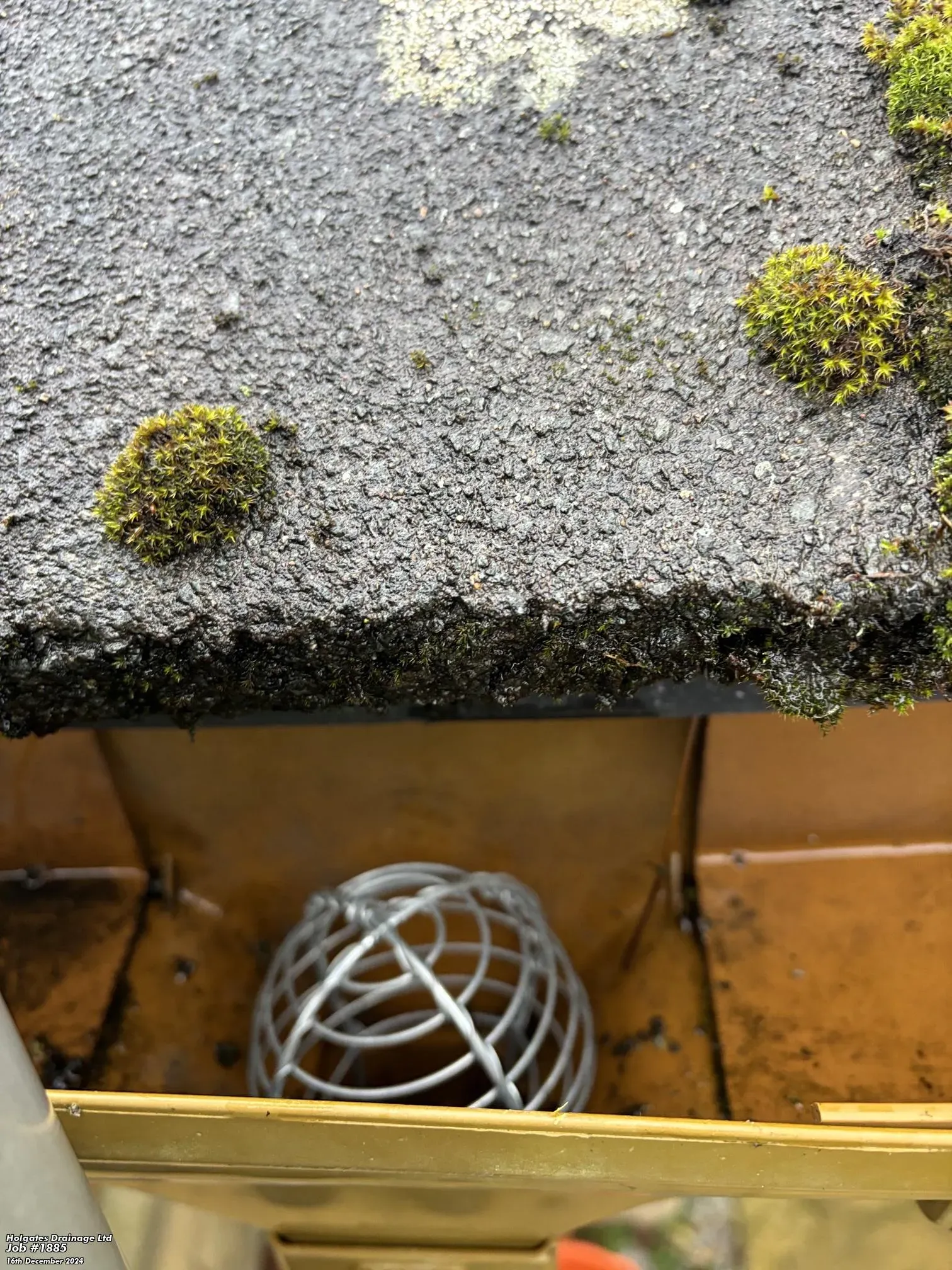 Professional installation of a wire balloon gutter guard for rodent proofing and drainage protection