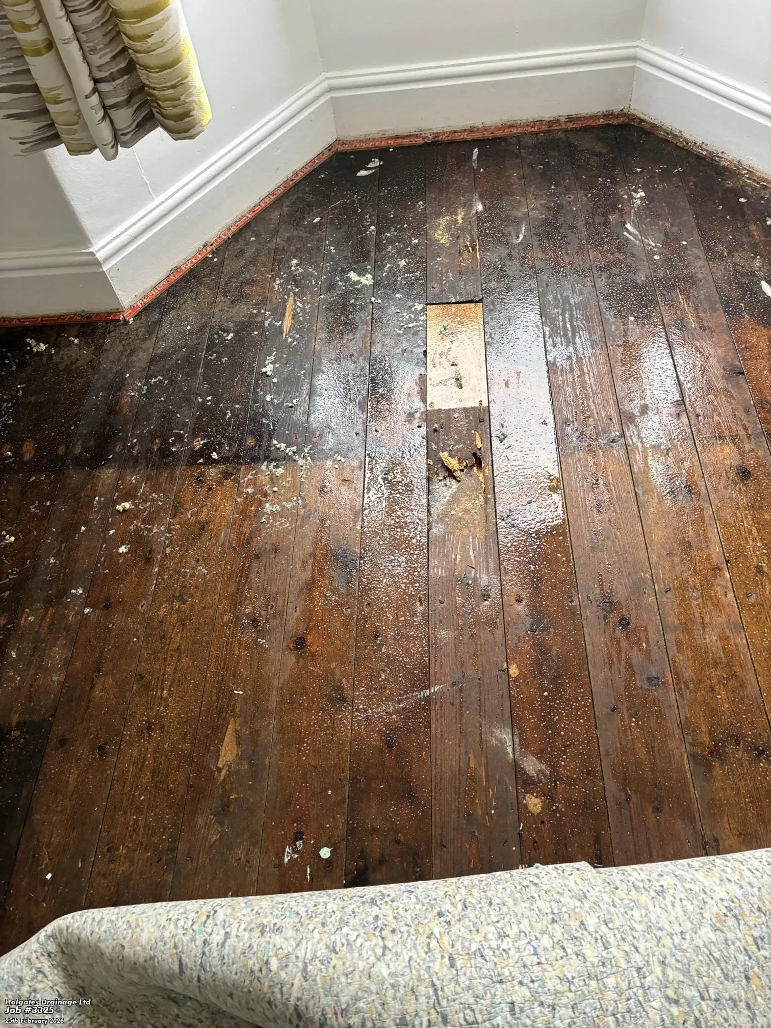 Damaged wooden floorboards in a Lancashire home requiring professional decontamination and pest entry point inspection.