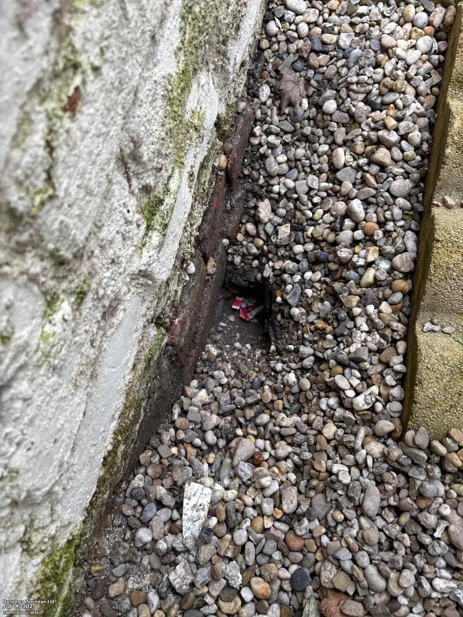A potential rat hole and rodent entry point next to a brick wall and gravel area, requiring professional pest control and proofing.
