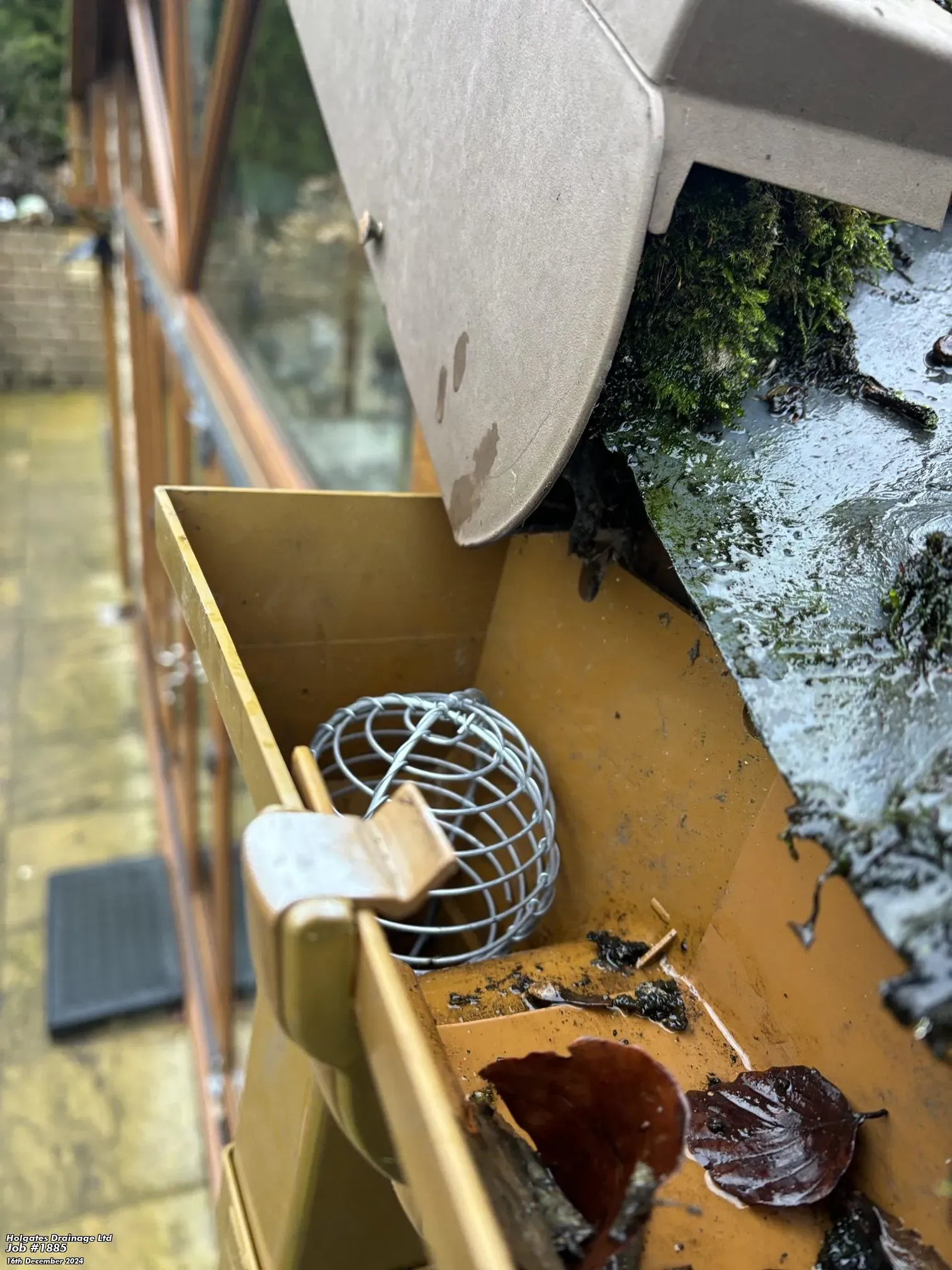 Professional rodent proofing and gutter guard installation to prevent pest access in Blackburn.