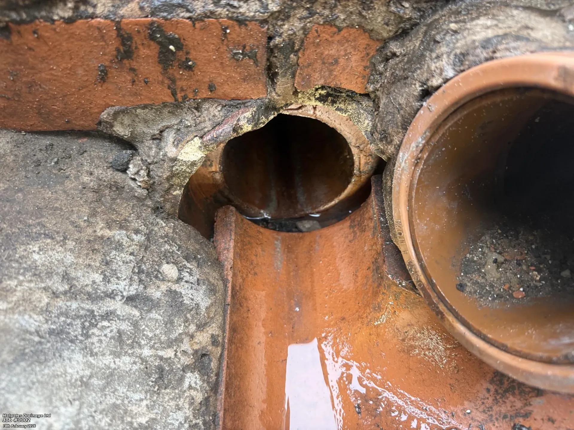 Professional drain inspection in Blackburn showing a clay pipe entry point for rat control.