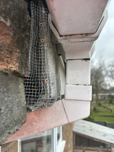 Galvanised wire mesh rodent proofing installed to block pest entry points under a roofline gutter.