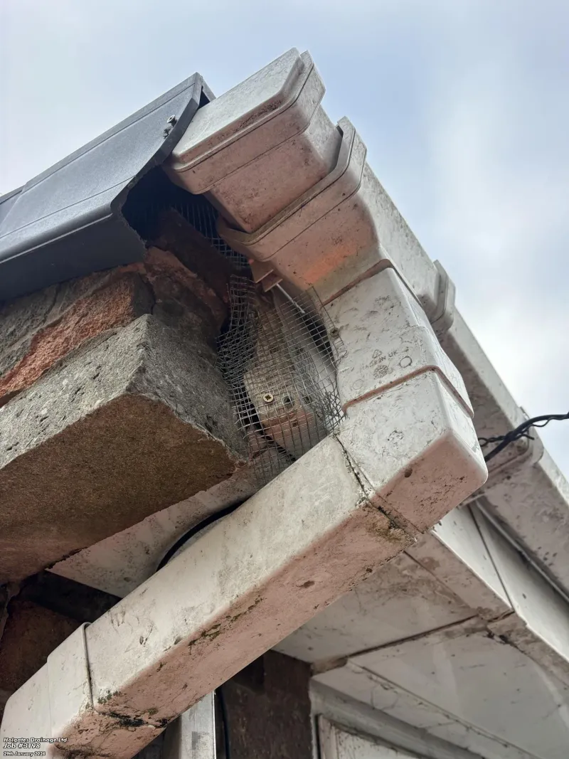 Wire mesh rodent proofing installed behind guttering on a Lancashire home to prevent pest entry
