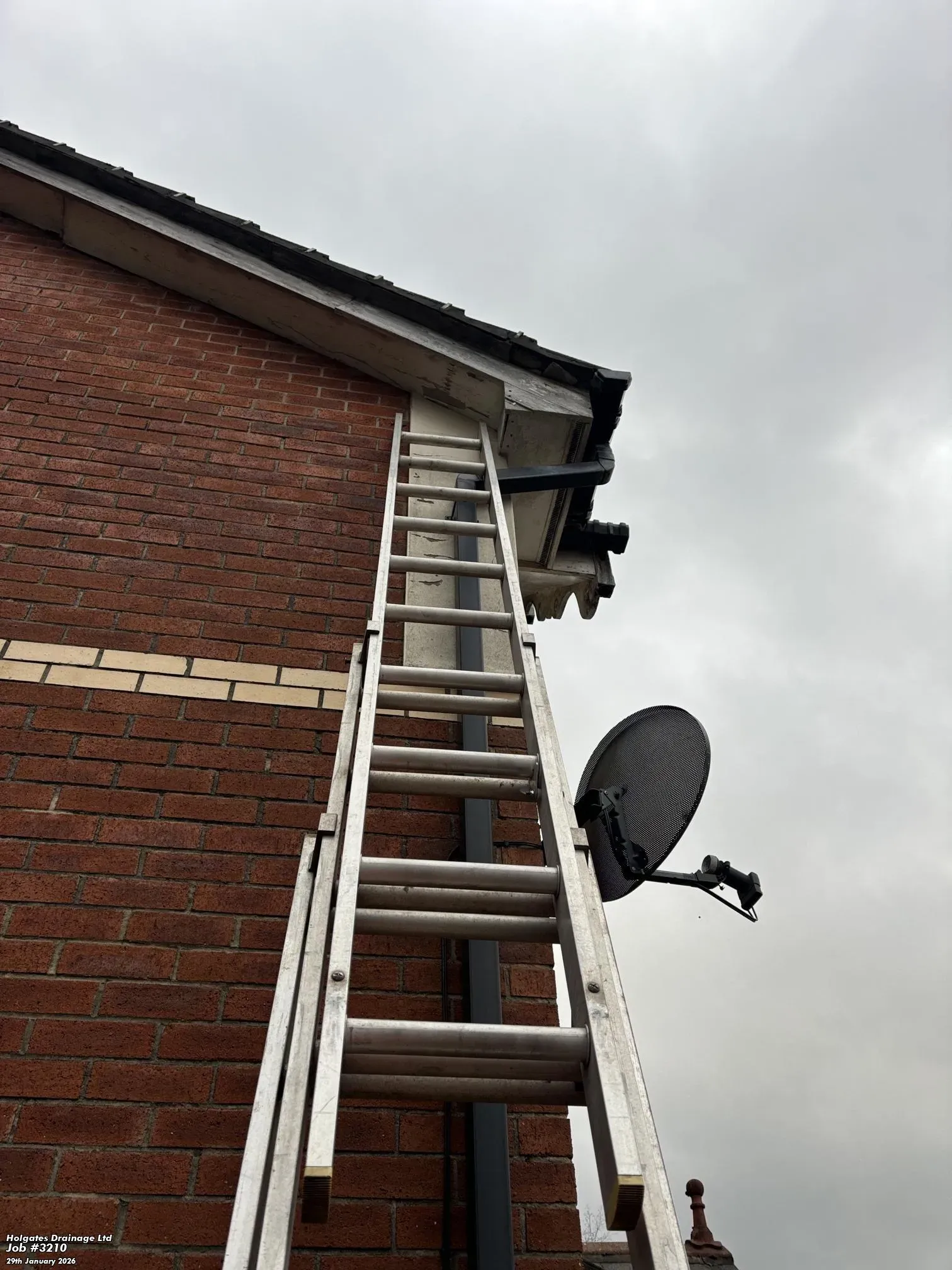 A professional ladder positioned against a brick property to access the roofline for pest control services in Blackburn.